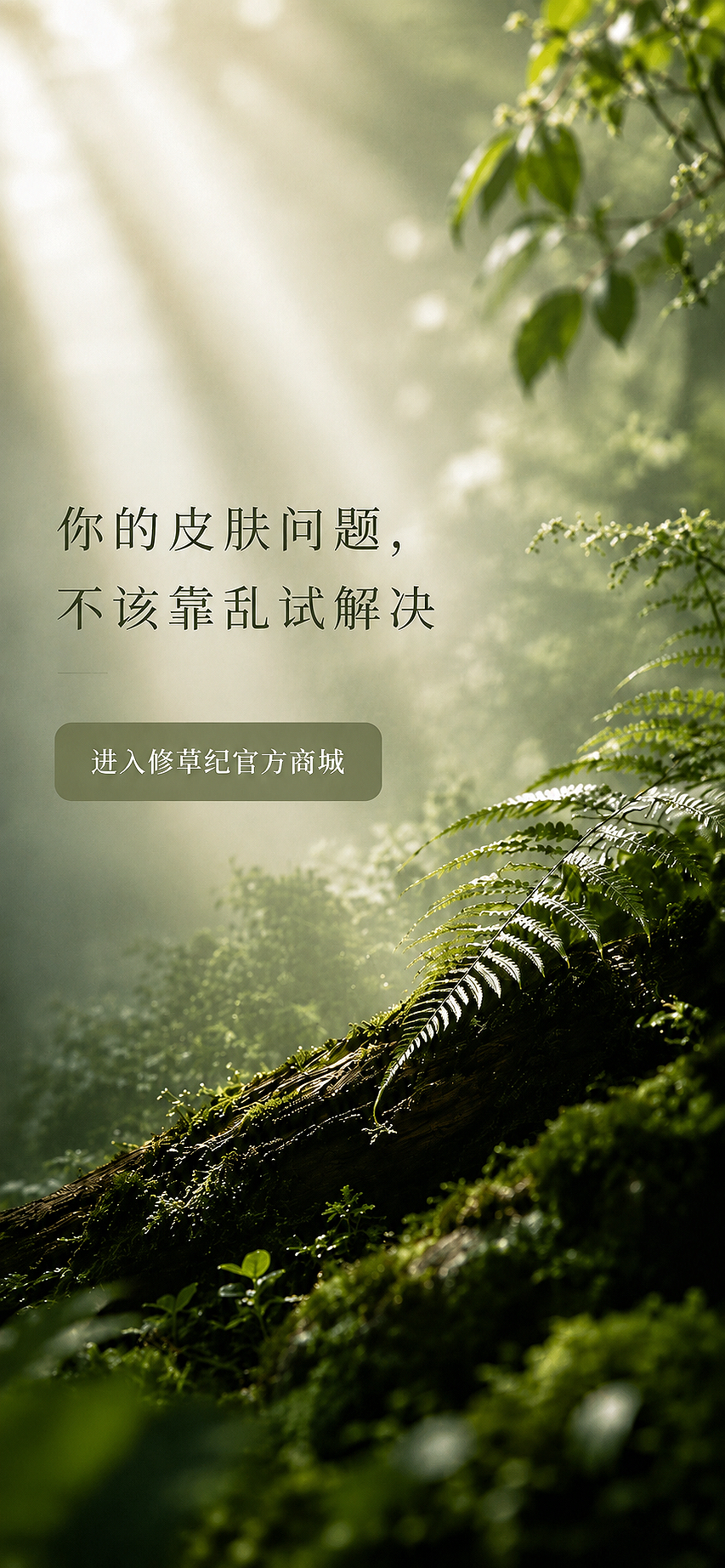 修草纪登录